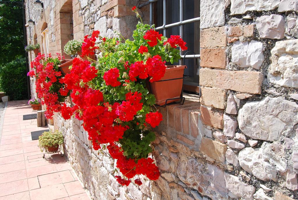 Agriturismo Rustichino Villa Giano dell'Umbria Ngoại thất bức ảnh